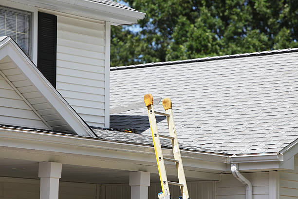 Best Stucco Siding  in Jackson, WI