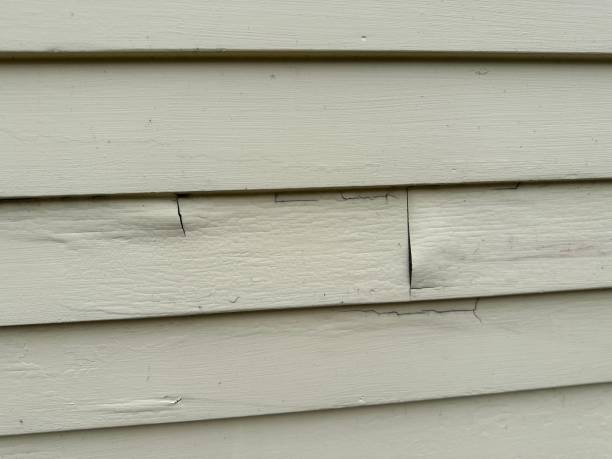 Best Aluminum Siding Installation  in Jackson, WI